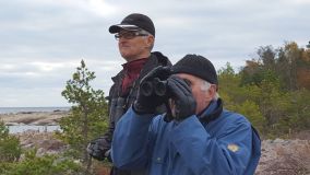 2016-10-16_093325_esjbjorn_janne_mod.jpg