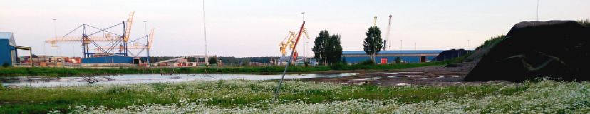 kullsand1_590.jpg