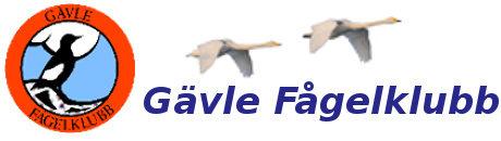 Gävle fågelklubb